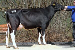 AV_BIT_15-04_Kat-Nr._61_0769836357__von_Sudan_Stefan_und_Matthias_Zens_GbR__Musweiler__2.jpg