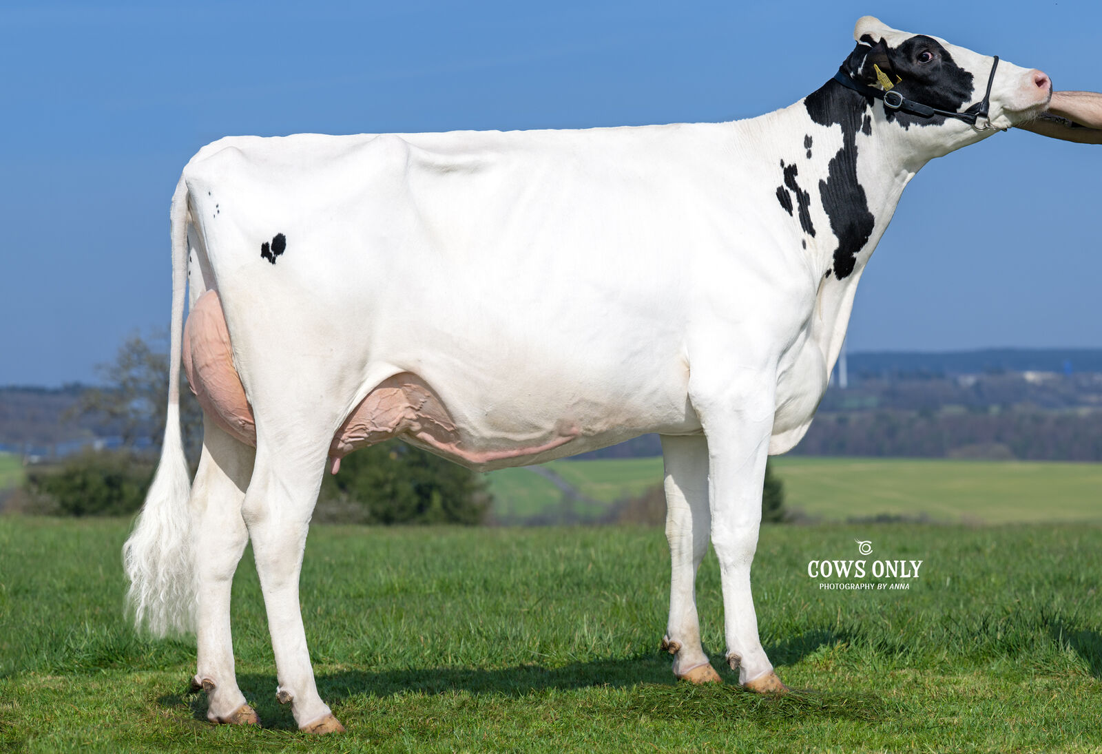 MOVE PP RDC-Tochter Dana VG-86<br />
Elmar Mettel, Mettendorf