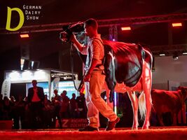German_Dairy_Show_-_Foto_Mathias_Penn.jpg
