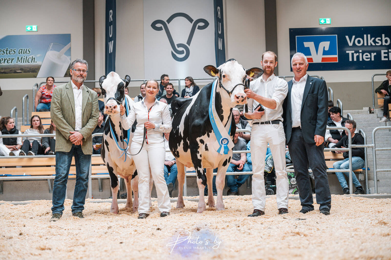 Bei der Siegerauswahl der älteren schwarzbunten Schaukühe machte der Preisrichter die Solito-Tochter ZFZ Give Me Lu von Matthias Zielenbach aus Wenden zur unangfochtenen Siegerkuh. Reservesiegerin wurde die Big Point-Tochter HHH Rosine von Axel Hemmes aus Damflos.