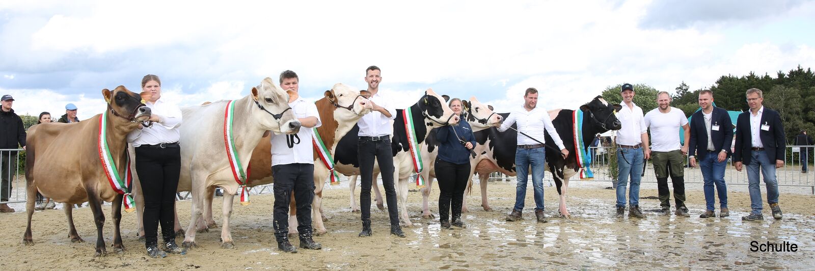 Das Line-up der Siegerkühe beeindruckte nicht nur durch die Rassevielfalt, sondern auch durch ihr außergewöhnliches Erscheinungsbild.