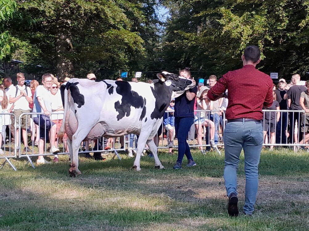 Snooze P-Tochter Vilona, von der Böhl-Melbach GbR, siegt in ihrer Altersklasse.
