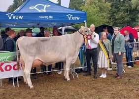 Grand_Champion_Miss_Wenden_2026.jpg