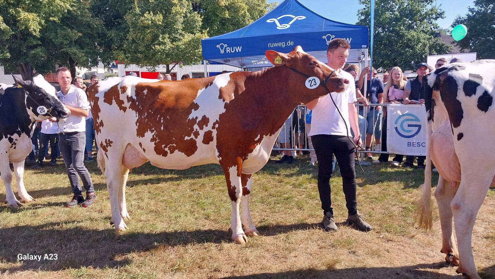 Reserve Mitte: VOS Jetta – Voss-Burbecke GbR, Lennestadt