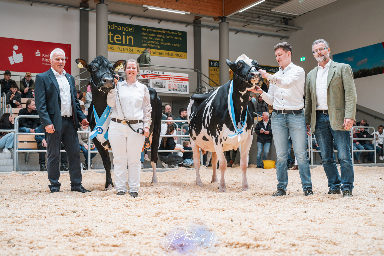 Die Siegerschärpe der mittleren schwarbunten Kuhklassen holte sich die STUNTMAN-Tochter Molin aus der Zucht von Thomas Schneider (Koblenz). Der Reservesiegertitel ging an HaH Honeybee (v. Gladius) aus der Zucht der Lüpschen GbR aus Lohmar.