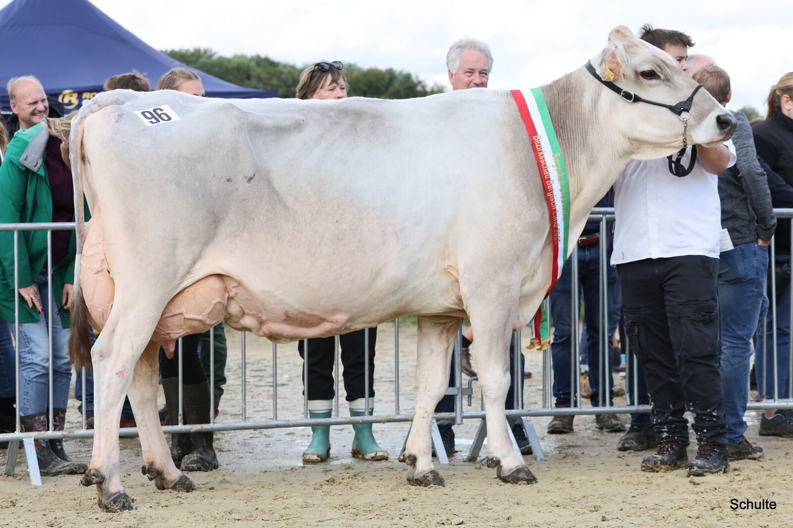 Zur besten Braunviehkuh wird die Bender-Tochter Nyala gekürt.