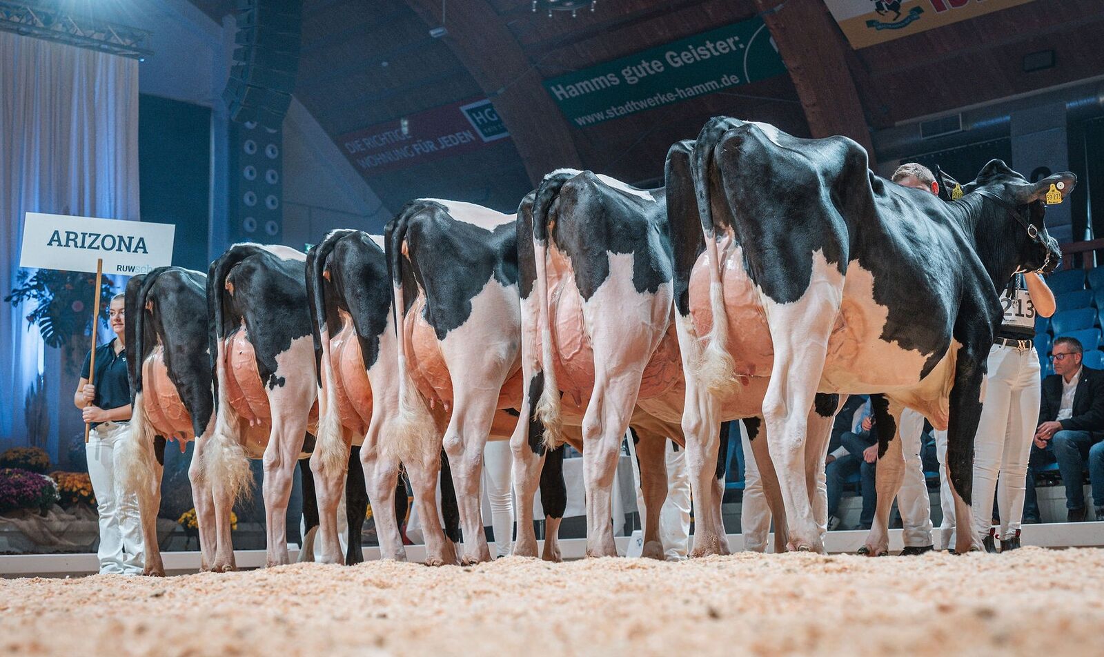 PRO ARIZONA-Nachzucht RUWschau 2025