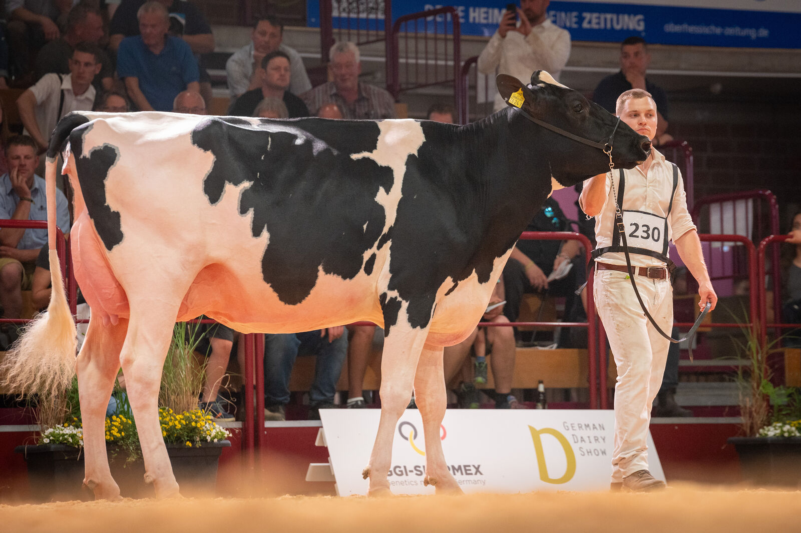 Holstein Färsenklasse - 1c für Easy Glück von Wiewer und Köster