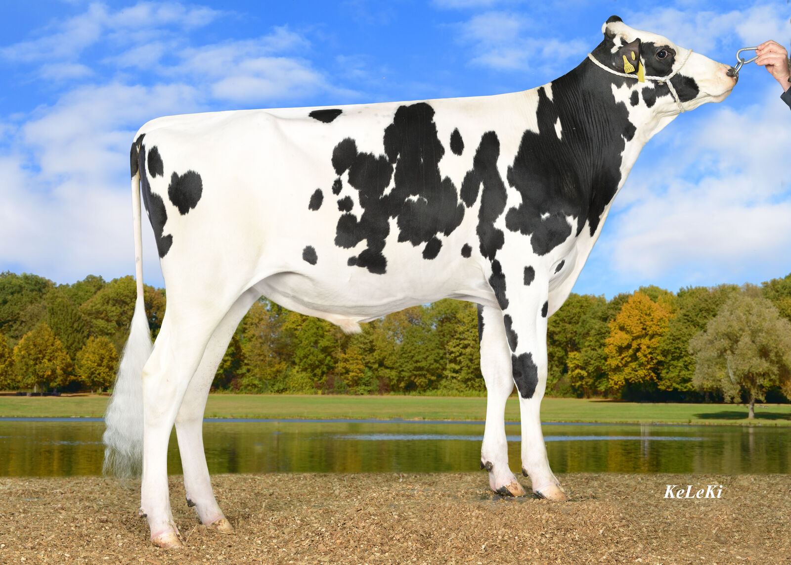 CLAIM RZG 152, RZ€ +2.103