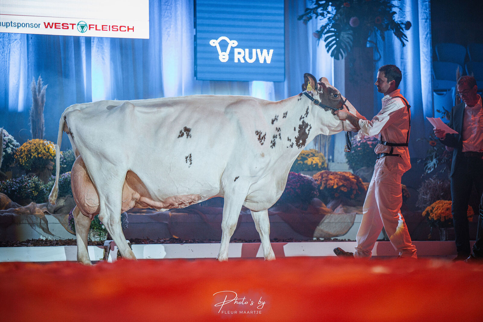 Rosa, eine typstarke Snow-Tochter von Familie Ewig, wurde als höchste Lebensleistungskuh des Jahres ausgezeichnet. Sie hat bereits über 120.000 Liter Milch produziert.