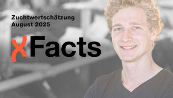 XFacts_Homepage__Vorlagen_08-25.jpg