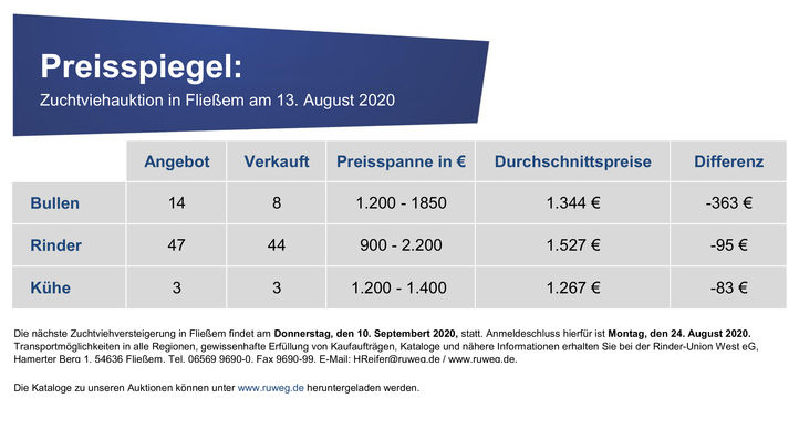 Preisspiegel-Vorlage_Fliessem_08-2020.jpg