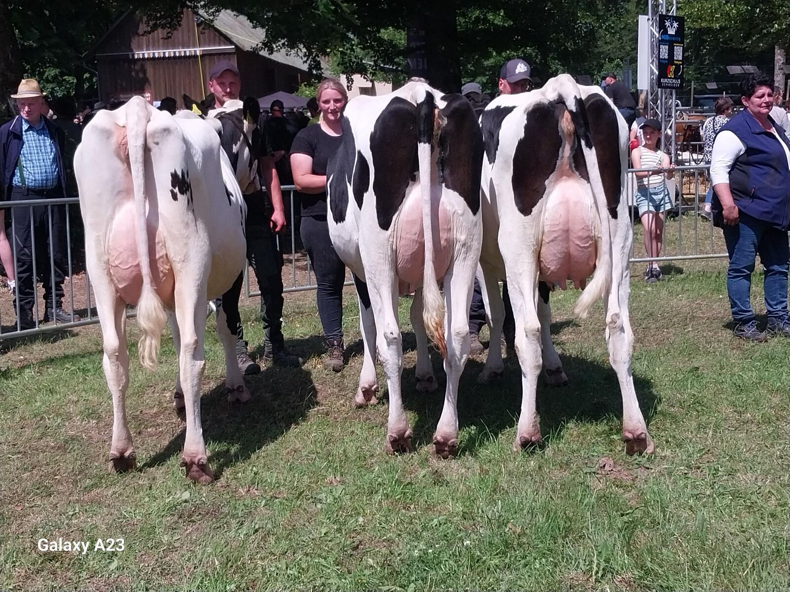 Resv.-Sammlung Sbt v. Hof Gehanns GbR