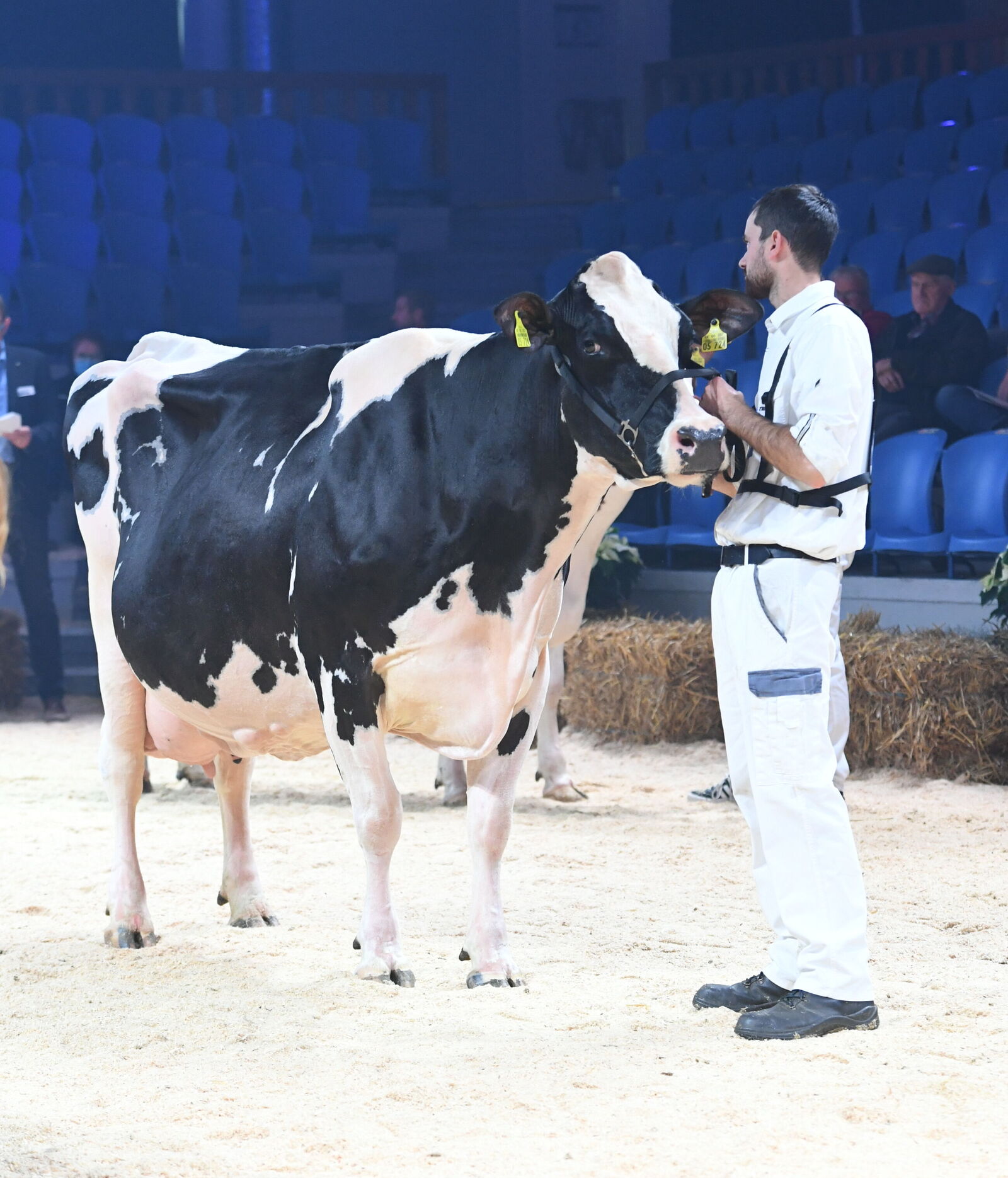 Der Höhepunkt des Tages!<br />
Die Kuh mit der höchsten Lebensleistung: Allison von Christa Ewig aus Stollberg. Sie hat die Grenze von 140.000 kg geknackt. 