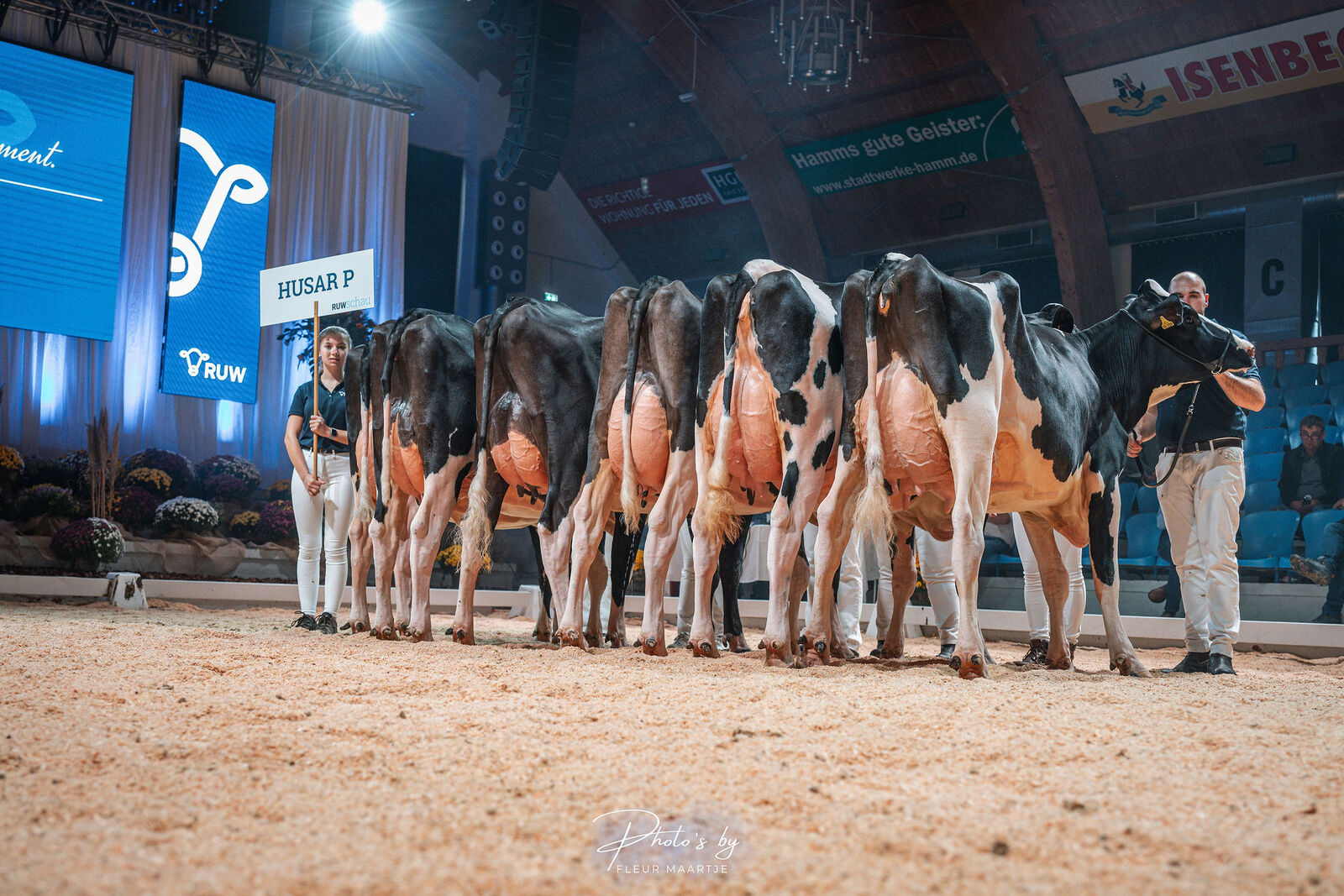 Die Nachkommengruppe von RUW HUSAR P überzeugte mit lackschwarzen Töchtern, die durch exzellente Fundamente und perfekte Euter mit idealer Strichplatzierung und -länge bestachen – ein Paradebeispiel für leistungsstarke, problemlose Kühe mit hoher Milch- und Eiweißleistung.