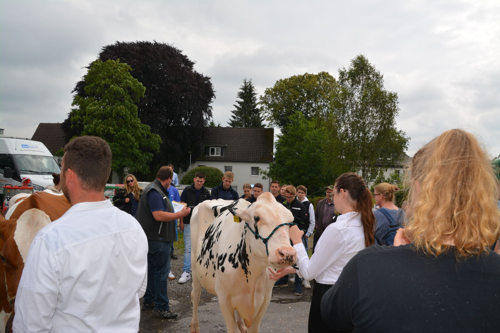 RUW-Zuchtberater Benedikt Große bei der Tierbeurteilung