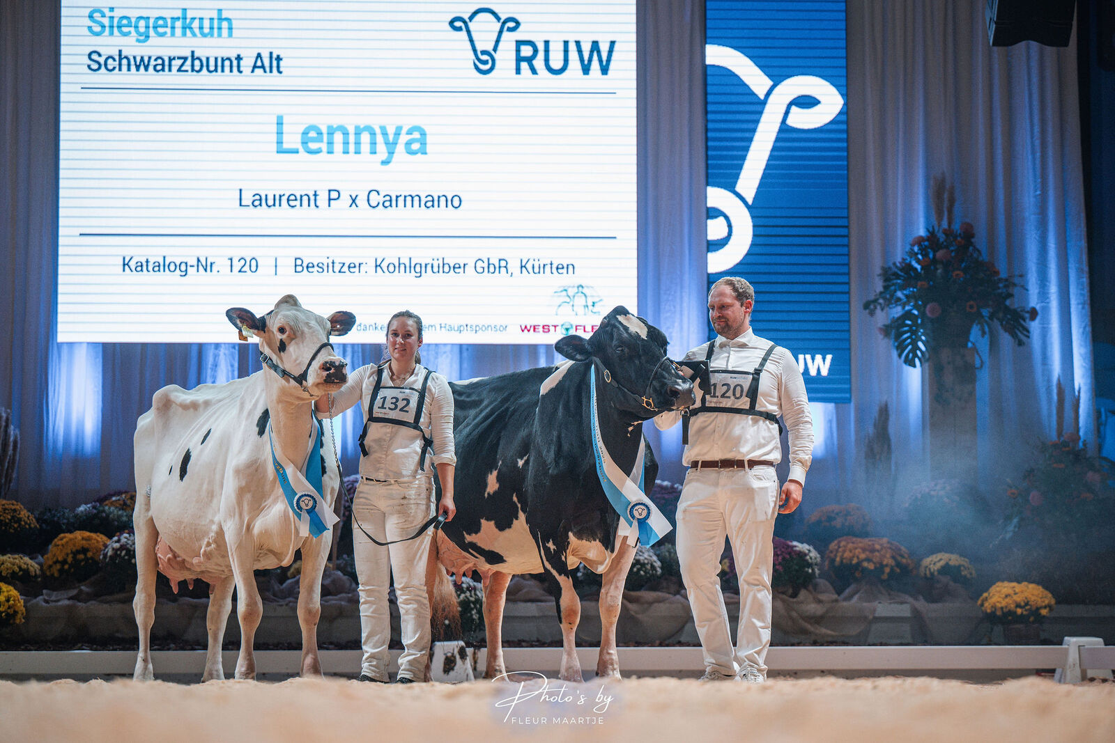 Mit beeindruckender Ausstrahlung und erstklassiger Vererbung setzte sich Lennya von Familie Kohlgrüber aus Kürten in den älteren schwarzbunten Kuhklassen durch Die Laurent P-Tochter siegte vor der schneeweißen Reservesiegerin UEH Nura (v. Gymnast) von der Lüpschen GbR aus Lohmar.