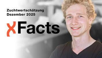 XFacts_Homepage__Vorlagen_12-25.jpg