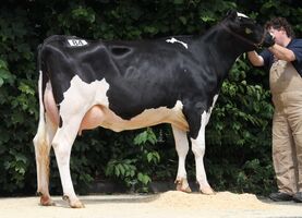 AV_BIT_14-05_Kat-Nr.84_Malvoy-Tochter.JPG