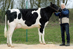 AV_Fliessem_18-04_Kat-Nr_48_Obolus-TochterKarl-Heinz_Kirch__Fisch_2.000_Euro.jpg