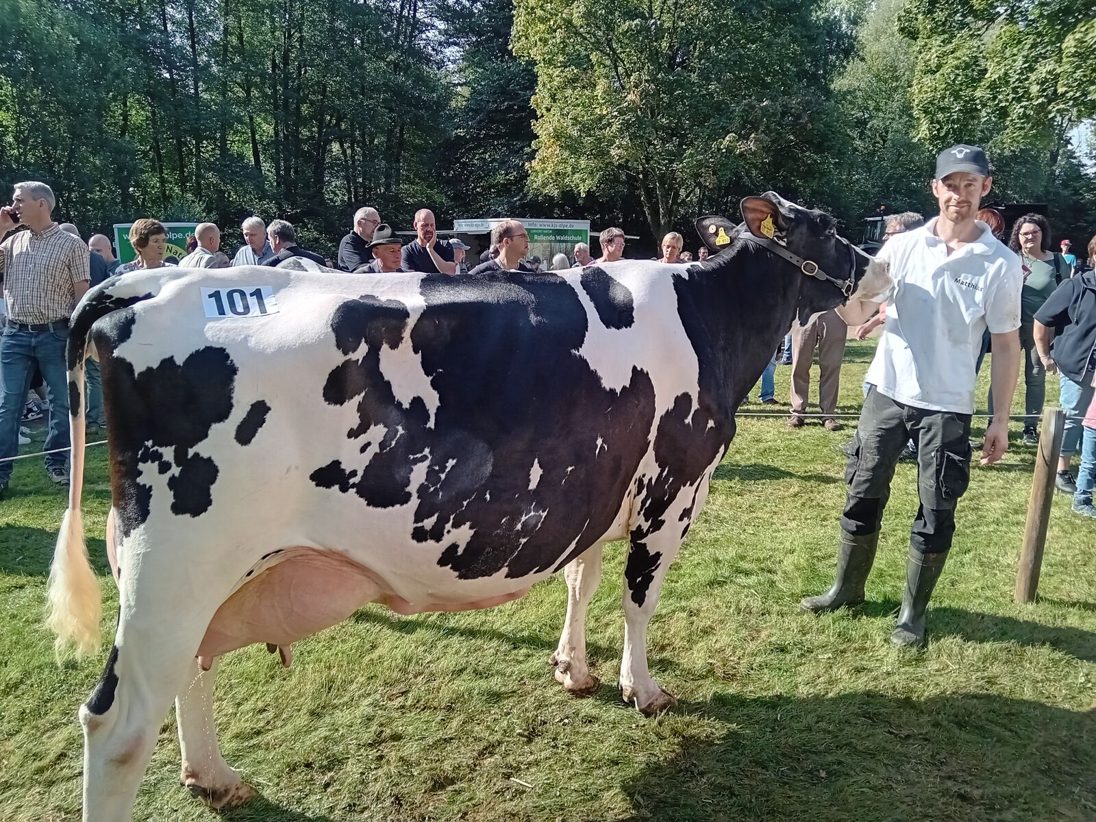 Reservesiegerkuh Alt: Joyn v. Mega Watt von Matthias Zielenbach aus Wenden-Hillmicke