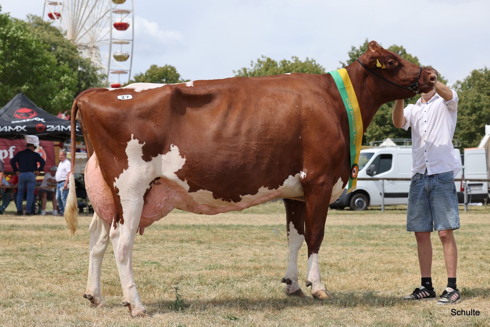 Die Entscheidung fällt auf BHA Dolly – die rotbunte Solito Red-Tochter aus dem Bestand von Norbert Wendling aus Roth.