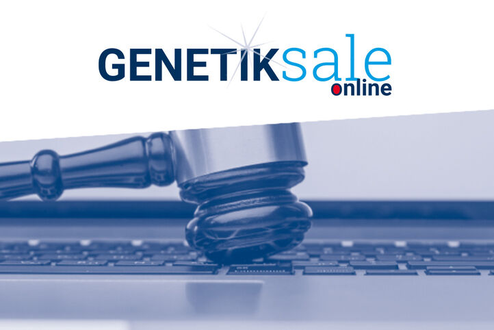 GENETIKsale_HP-News.jpg