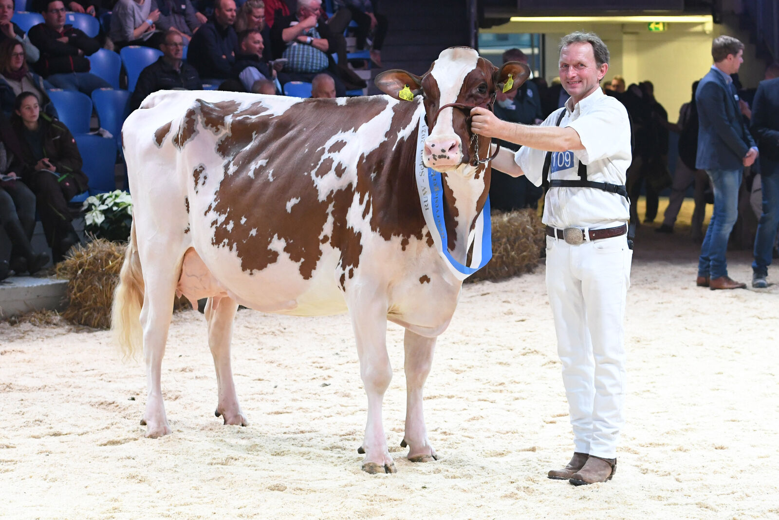 Reservesieger RBT - mittel: <br />
WIT Alina v. Devour RDC<br />
Bes.: Thomas Wiethege, Halver