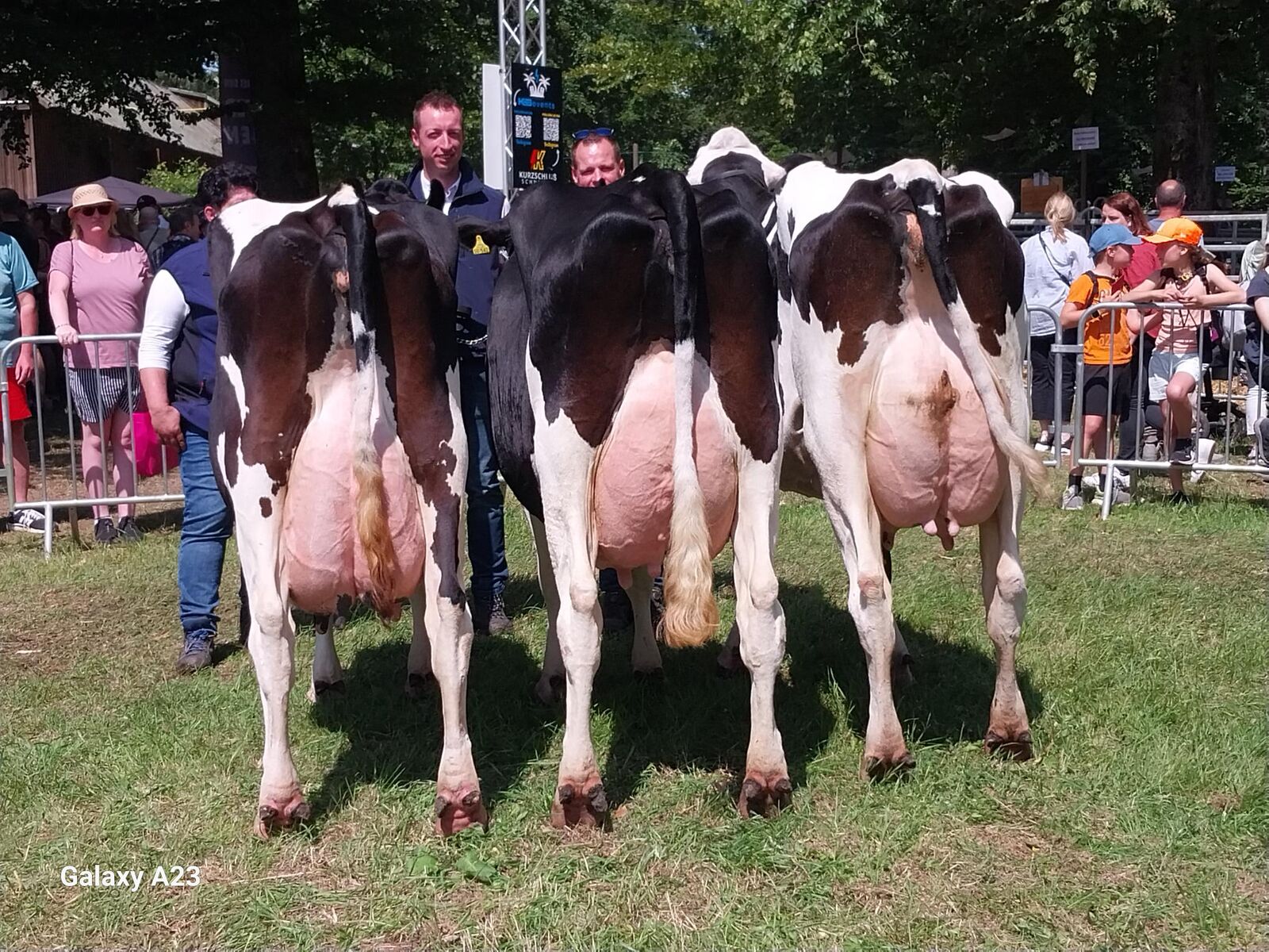 Siegersammlung Sbt. v. Iris Böhl