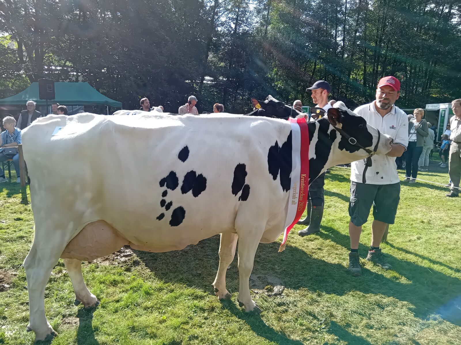 Siegerkuh Alt: Rieke v. MVP von Markus Lütticke aus Drolshagen-Brachtpe