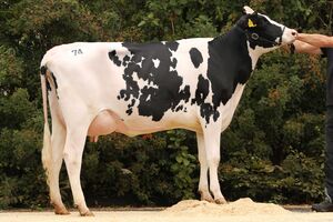 AV_BIT_14-09_Kat-Nr_7407.69625976_Lonarl-Tochter__1.700_Euro___Zens_GbR_Stefan__Matthias_1.jpg
