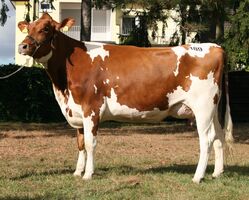 20161004_KATNR_189_0538518913_IMG_6996_korr.jpg