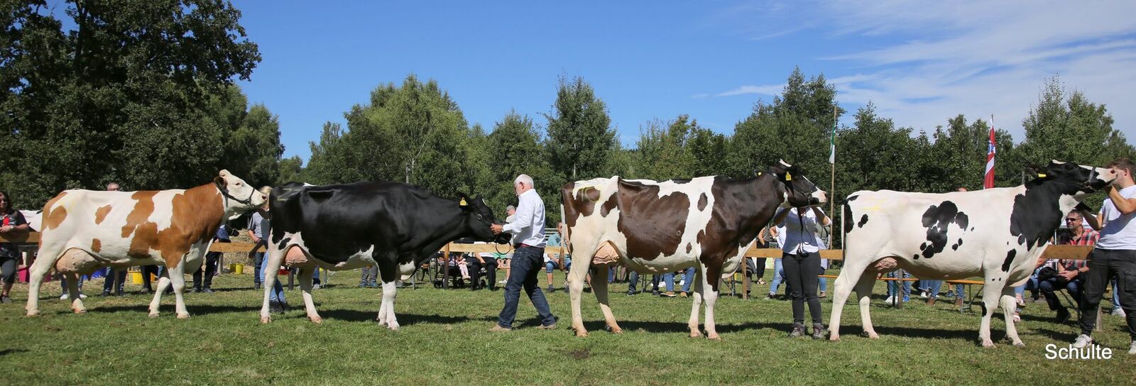 Siegerauswahl Miss Hochwald 