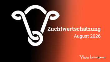 Homepage-Titelbild-Version-b.jpg