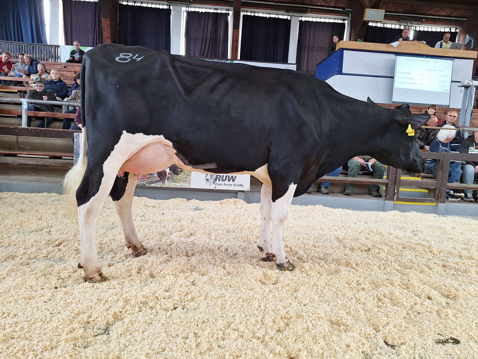 Diese lackschwarze DYNAMIC P-Tochter von Volker Elsermann aus Hamminkeln leistet aktuell stolze 38 kg Milch. Für 4.400 € wechselt sie in einen Zuchtbetrieb im Kreis Wesel. 