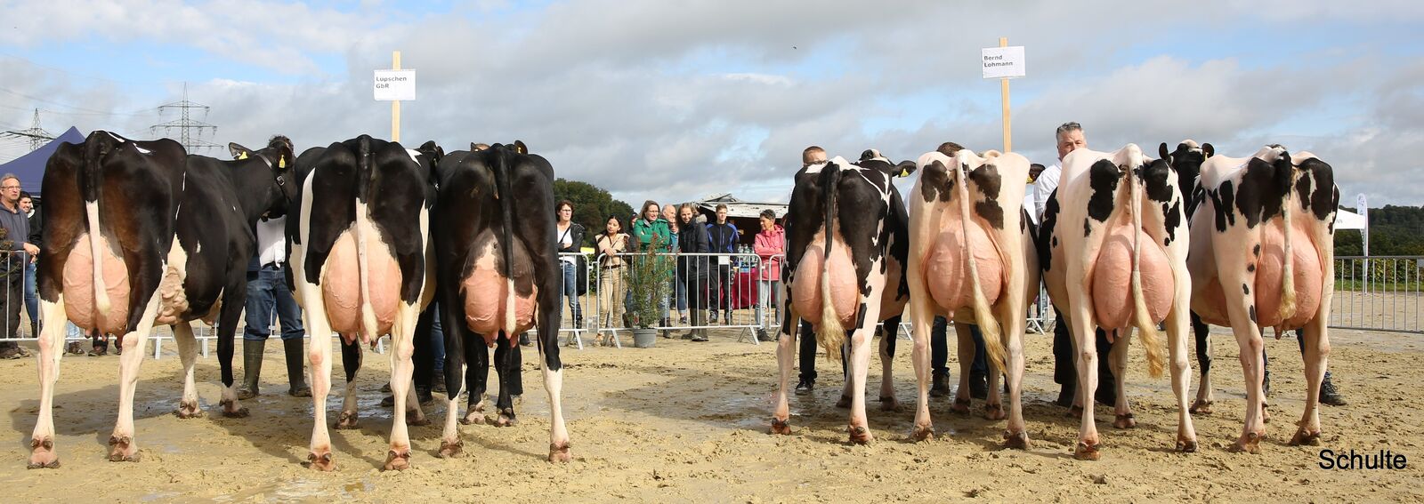 Die Siegersammlung von Bernd Lohmann, Hückeswagen (rechts) und die Reservesiegersammlung der Lüpschen GbR, Lohmar (inks) sorgten für den ersten Höhepunkt des Tages.