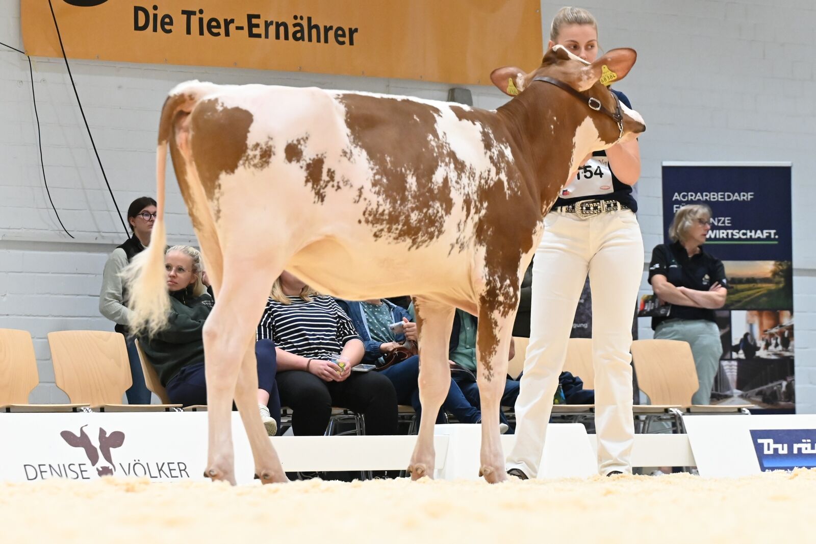 In der Kategorie Alt liefert Lara Röhling eine perfekten Vorführleistung ab und sichert sich den Klassensieg. Schon jetzt ist abzusehen, das sie in der Siegerauswahl um den Titel mitspielen wird.