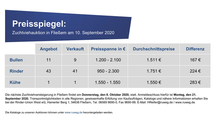 Preisspiegel-Vorlage_Fliessem_09-2020.jpg