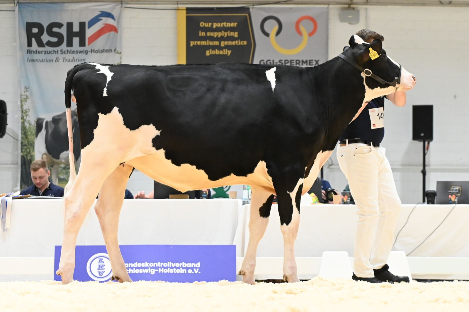 In der Kategorie über 24 Monate ist die Eye Candy Tochter Desire von Christian Bange erfolgreich und platziert sich auf dem 3. Platz in ihre Klasse.