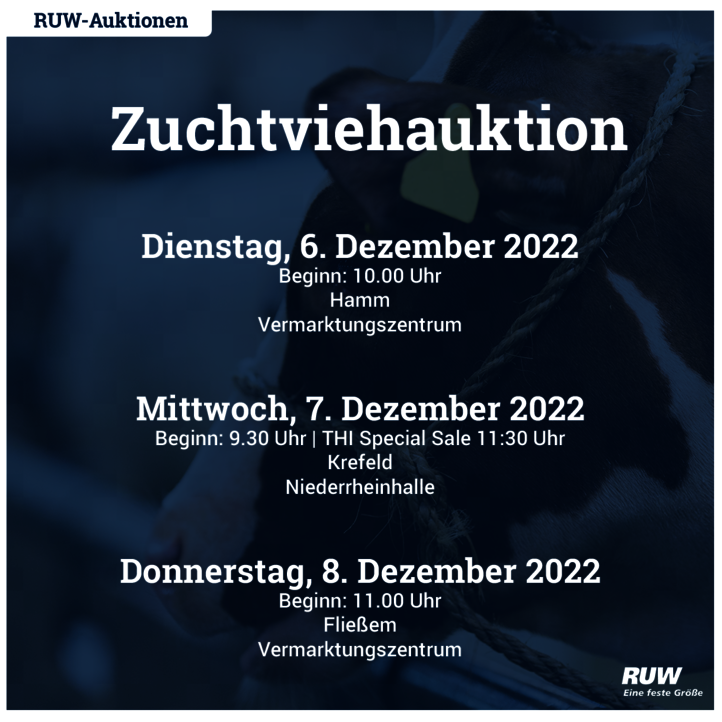 Auktionswoche_Dez._2022.png