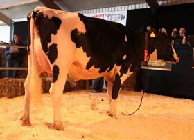 NH Lambda Apple RC VG 86