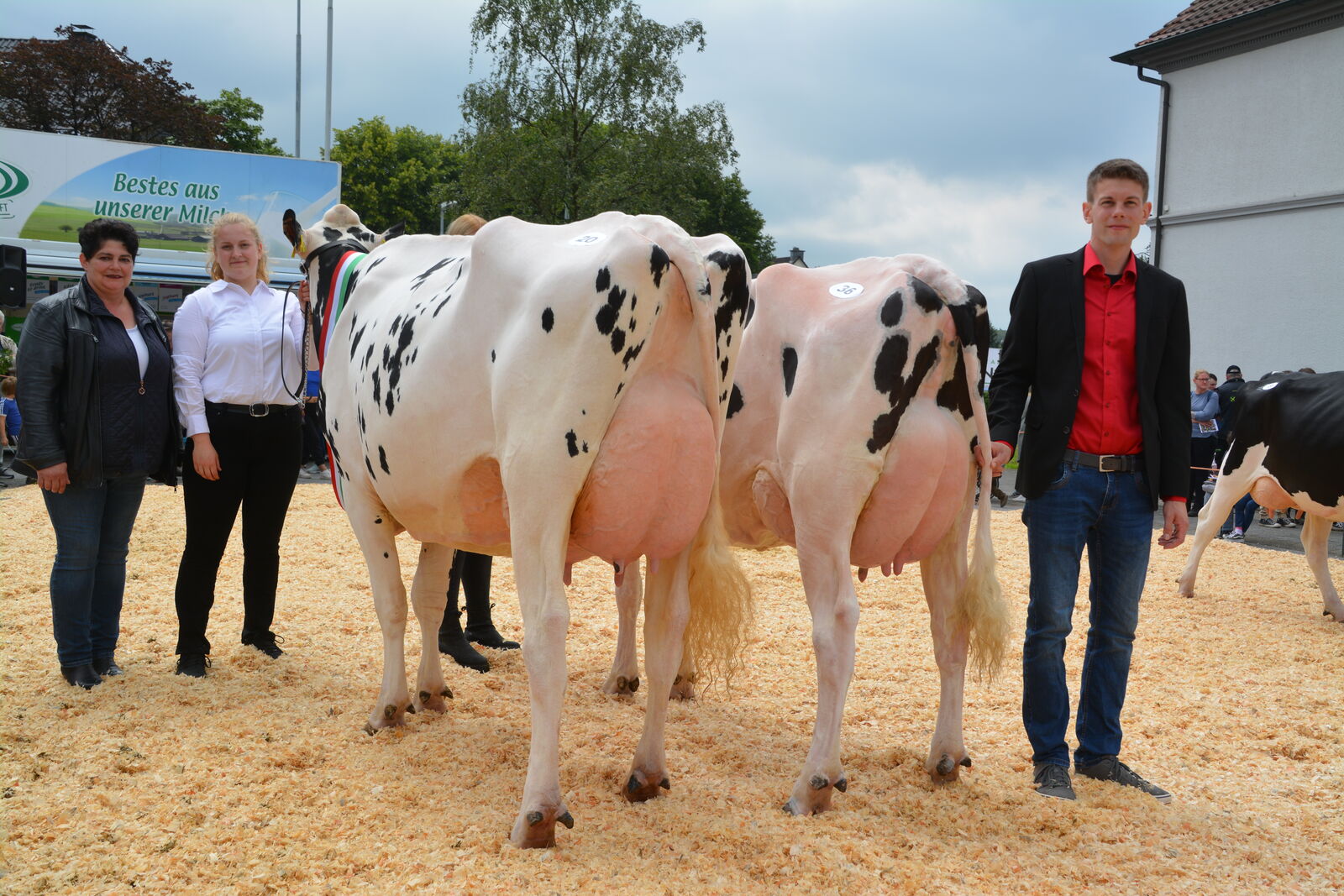 Sieger jung Bounty (20) von Thomas Wiethege und Reserve Siegerkuh Paola (36) von Dirk Kalthaus.