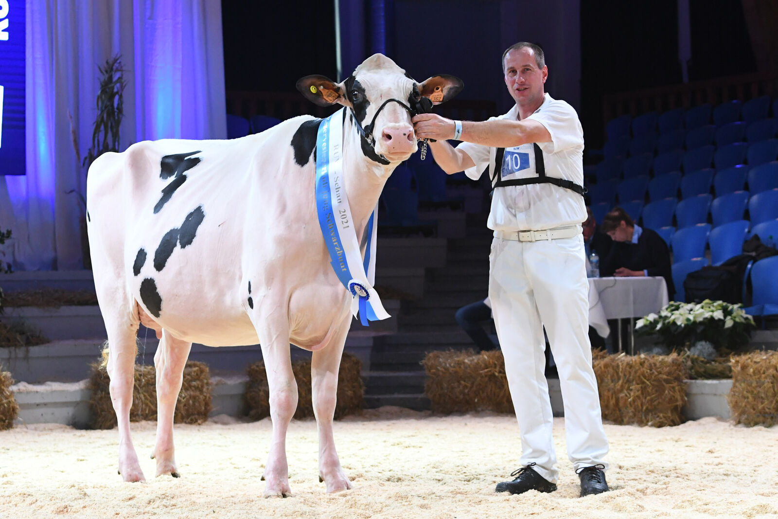 Reservesieger SBT - jung<br />
GPH Gaja v. Artist, Bes.: Sauerlandmilch GbR, J. Henneke, P. Kersting, Brilon