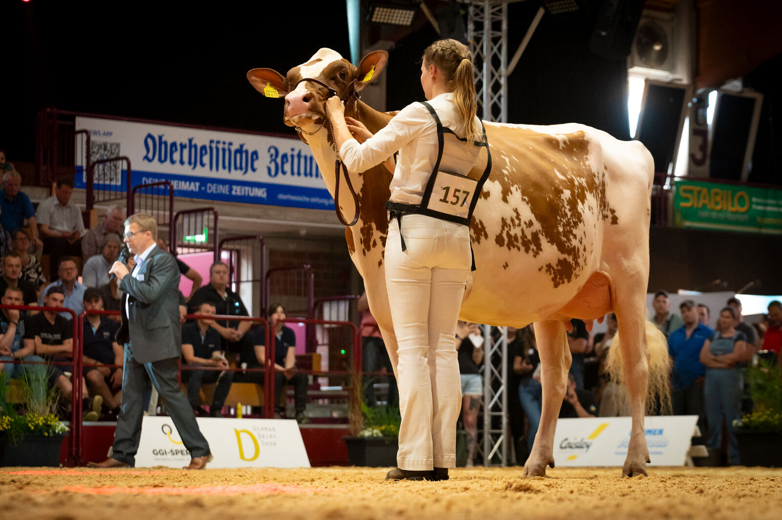 Red Holstein Färsenklasse - 1b für KOE Raintrop von Köster KG 