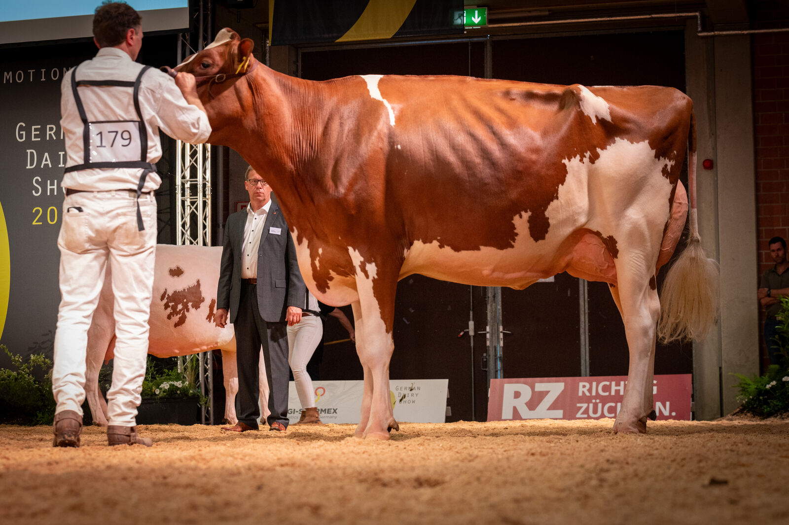 Red Holstein Junge Klasse - 1c für WR Kylie von Ludger Wiewer