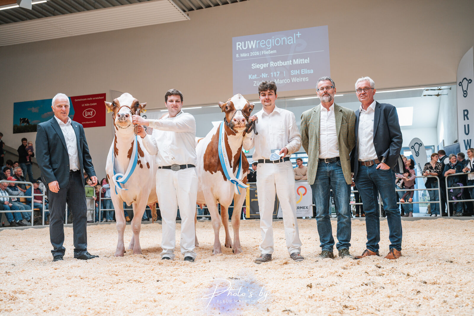 Den Titel der Siegerkuh Rotbunt mittel sicherte sich die SPUTNIK-Tochter SIH Elisa aus der Zucht von Marco Weires (Olmscheid). Zur Reservesiegerin wurde die SAILOR PP-Tochter Valerie von Hugo Berners aus Simmerath gekürt.