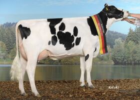 Ulana_35405557_v_Bolton_Seitenbild_mSchaerpe__11-10__01.JPG