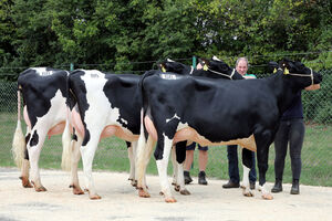 AV_Fliessem_19-08_Balu-Toechter_Peter_Meutes__Rommersheim.jpg