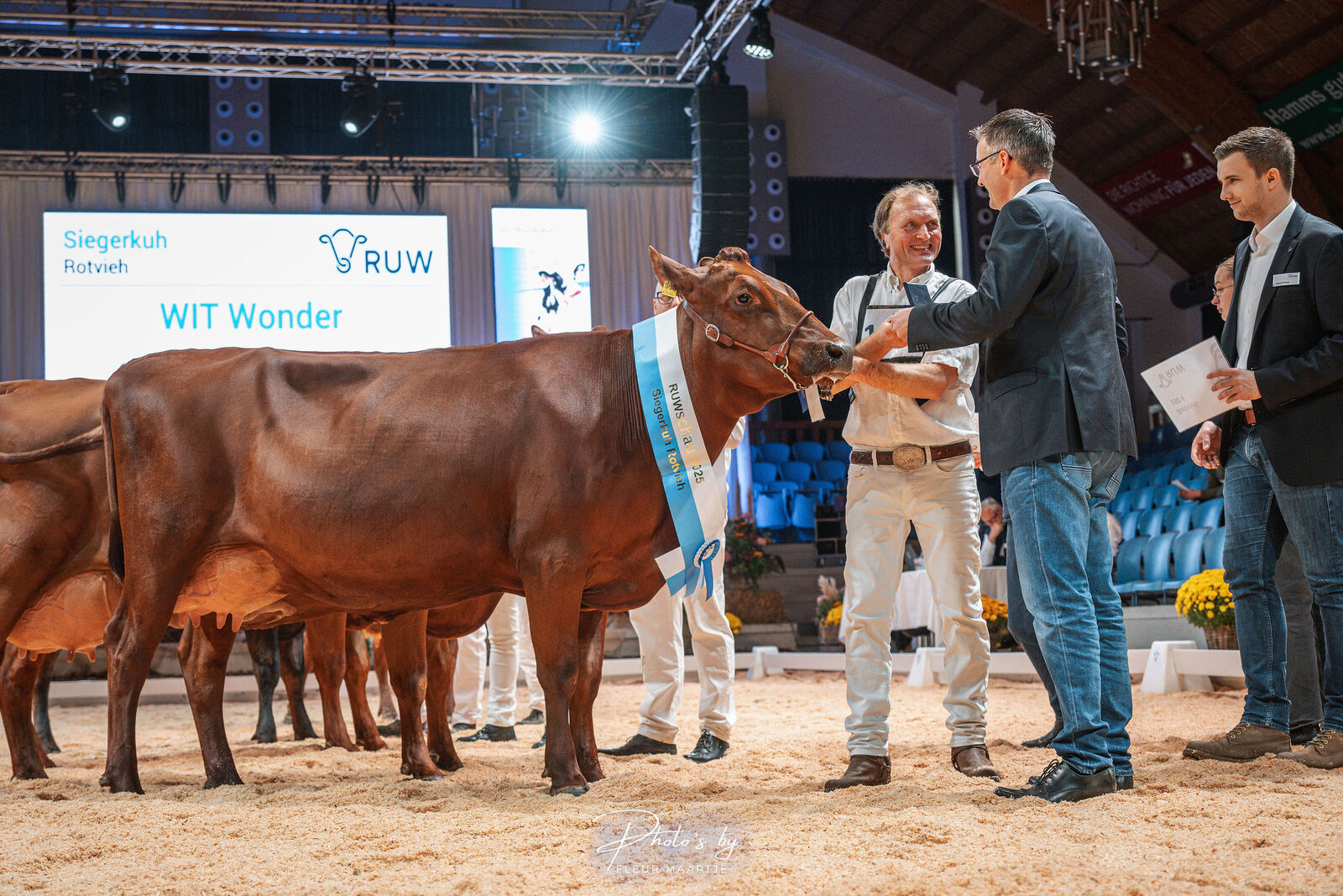 WIT Wonder aus der Zucht von Thomas Wiethege überzeugte als Siegerkuh der Angler – eine Färse aus bester Abstammung, denn ihre Mutter ist keine Geringere als die amtierende Bundessiegerin Wolke. Auf Platz zwei folgte die typstarke Riga-Tochter Adele von Heiner Born aus Breckerfeld.