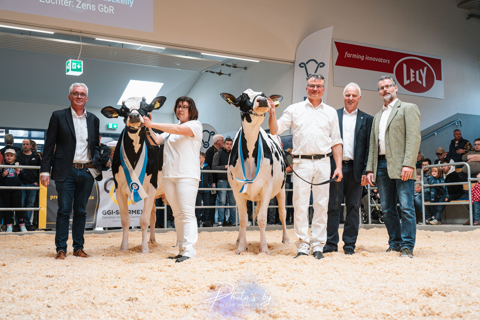 ZS Gracekelly (v. Fangio) von Stefan & Matthias Zenz GbR siegte bei den Schwarzbunten Färsen und setzt sich gegen die Reservesiegerfärse Emina, eine COSINUS-Tochter von der Sonntag GbR aus Pomster, durch.